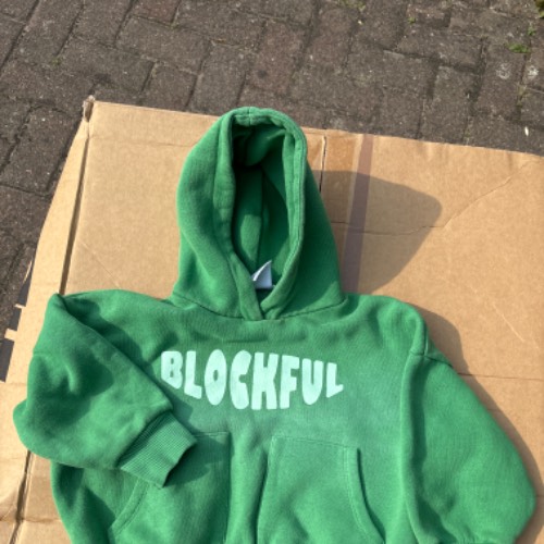 Zara Pulli grün  Größe: 98, zu finden beim Stand 34 am Standort Flohkids Hamburg West