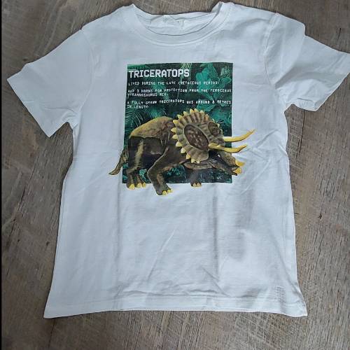 T shirt weiss Dino  Größe: 110 , zu finden beim Stand 73 am Standort Flohkids Hamburg West