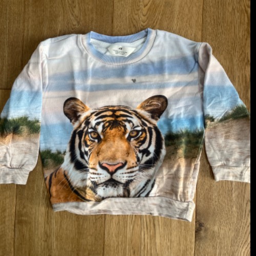 H&M Pulli Tiger  Größe: 110/116, zu finden beim Stand 141 am Standort Flohkids Hamburg West