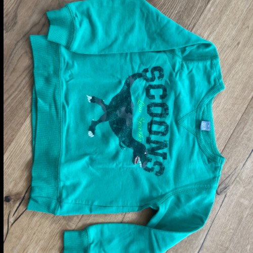 Sweatshirt Dino  Größe: 110, zu finden beim Stand 19 am Standort Flohkids Hamburg West